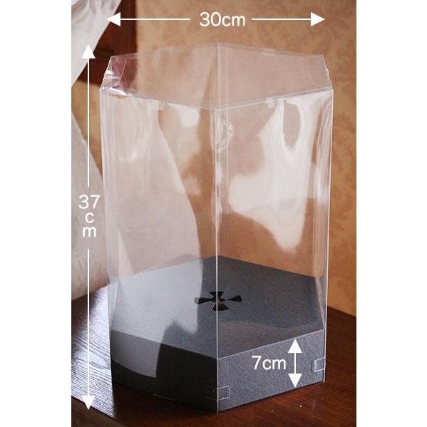 アレンジ用クリアケース（クリアボックス） ヘクサ | クリアケース