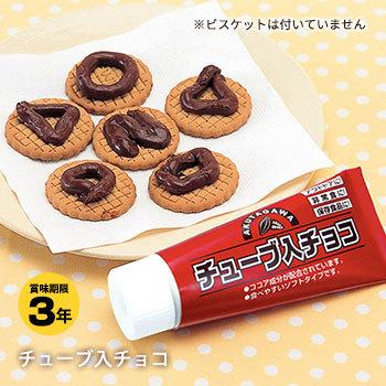 非常食 保存食 チューブ入りチョコ 賞味期限23年6月29日迄 チョコレート お菓子 あんしんの殿堂 防災館 通販 Yahoo ショッピング