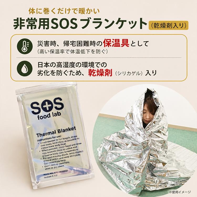 命の箱 ニューアークスリー ARK3 LBS 非常用 備蓄セット 防災セット