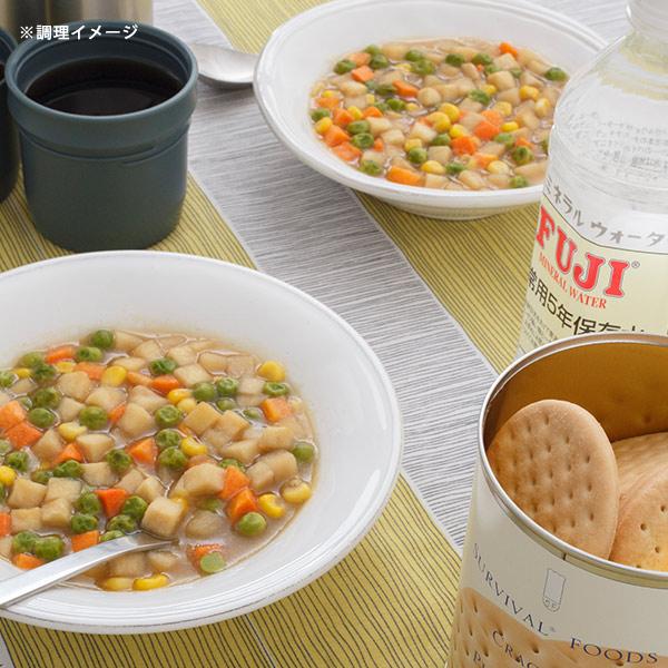 非常食セット 25年保存 サバイバルフーズ 大缶ファミリー 6缶セット 約