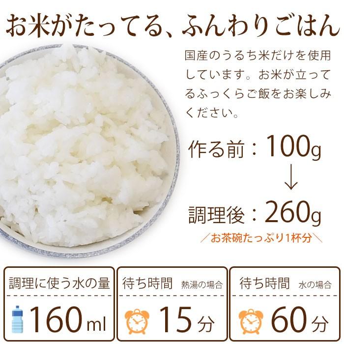 尾西食品 非常食 アルファ米 白飯 100g 白米 スタンドパック 防災