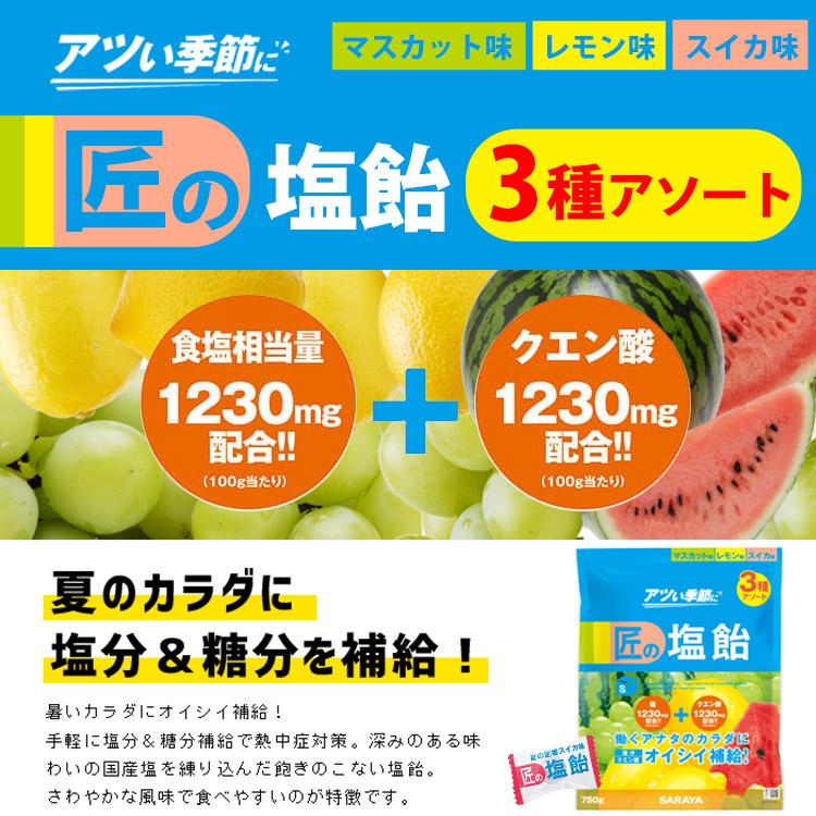 匠の塩飴 サラヤ 塩飴 塩分補給 キャンディ 匠の塩飴3種アソート750g