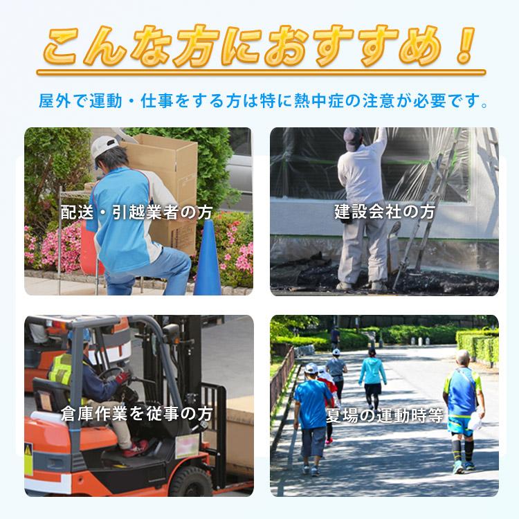 匠の塩飴 サラヤ 塩飴 塩分補給 キャンディ 匠の塩飴3種アソート750g