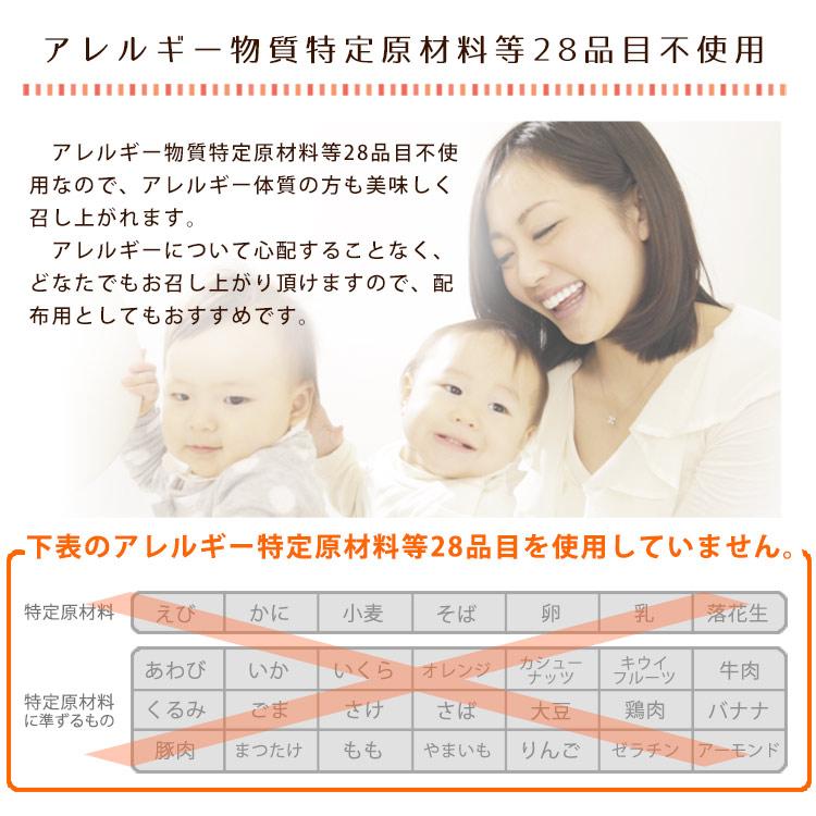 非常食尾西のライスクッキー ココナッツ 8枚入 48個 ケース売り 米粉クッキー ビスケット 保存食 お菓子 防災グッズ 必要なもの