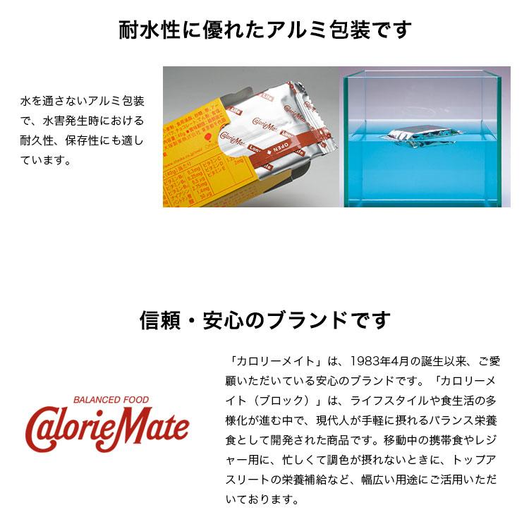 大塚製薬 カロリーメイト ロングライフ 2本入 非常食 チョコレート味