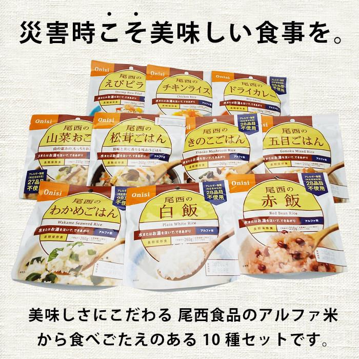 尾西食品 非常食 5年保存 非常食セット アルファ米10種 しっかりご飯