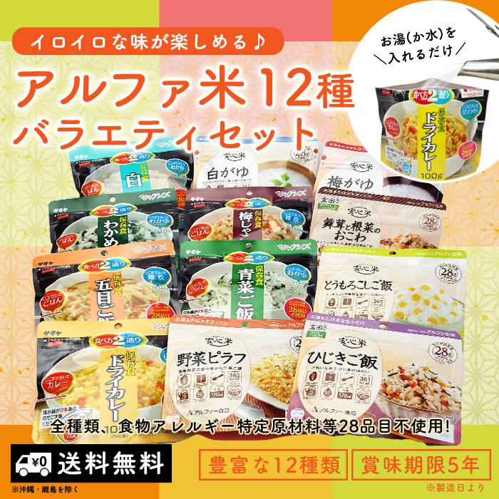 非常食 5年保存 アルファ米 非常食セット 12種バラエティセット 12食分