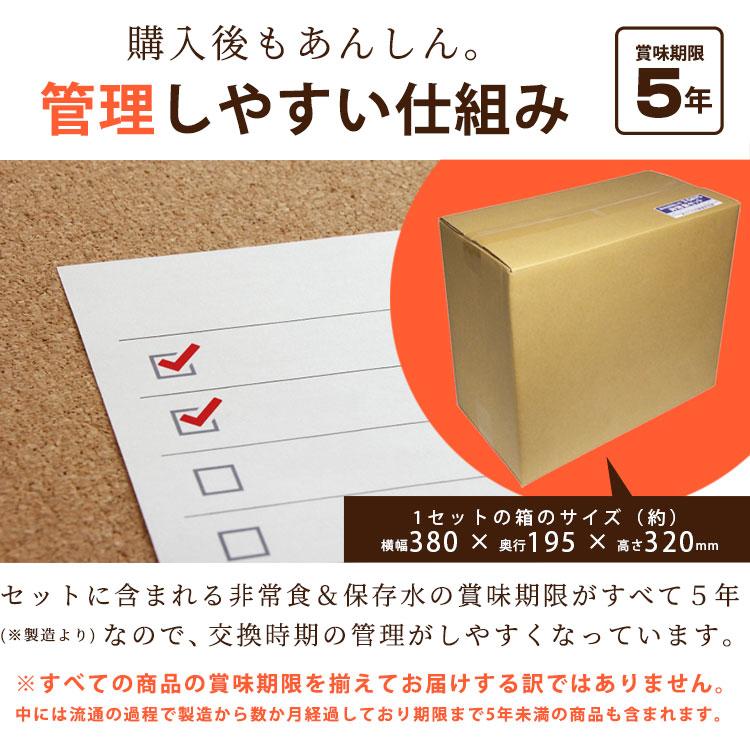 非常食 セット 3日分 10食 5年保存 3DAYS非常食セット アルファ米 保存