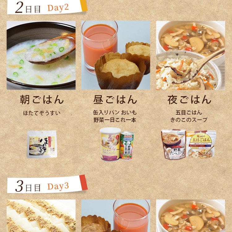 非常食 セット 3日分 10食 5年保存 3DAYS非常食セット アルファ米 保存