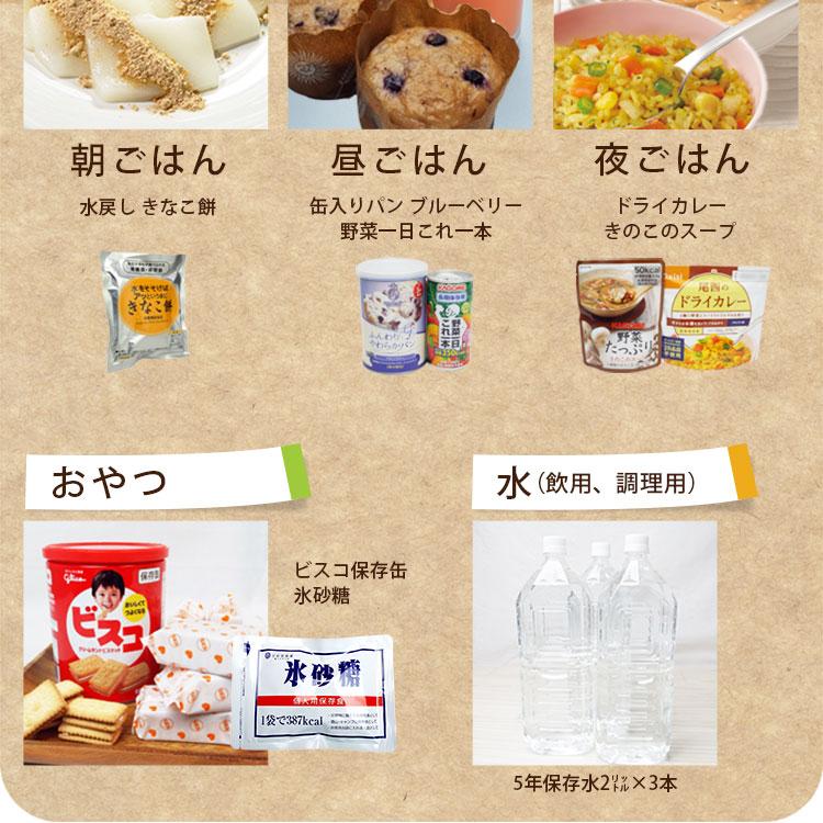 非常食 セット 3日分 10食 5年保存 3DAYS非常食セット アルファ米 保存