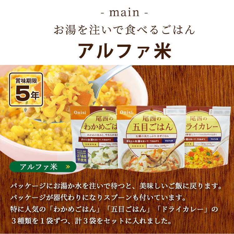 非常食 セット 3日分 10食 5年保存 3DAYS非常食セット アルファ米 保存