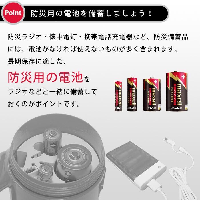 アルカリ乾電池 単2形 2本パック 防災用 10年 長期保存電池 マクセル maxell 日本製 ボルテージ 使用推奨期限2032年3月まで｜bousai｜03
