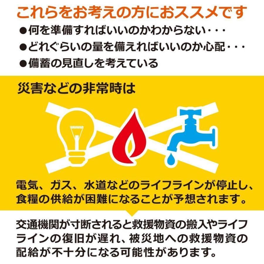 10人分 3日 非常食セット S 5年 計90食（防災セット 防災用品 保存食 アルファ米 パン）_3