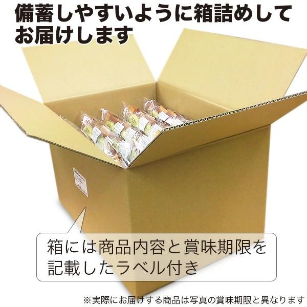 10人分 3日 非常食セット S 5年 計90食（防災セット 防災用品 保存食 アルファ米 パン）_9