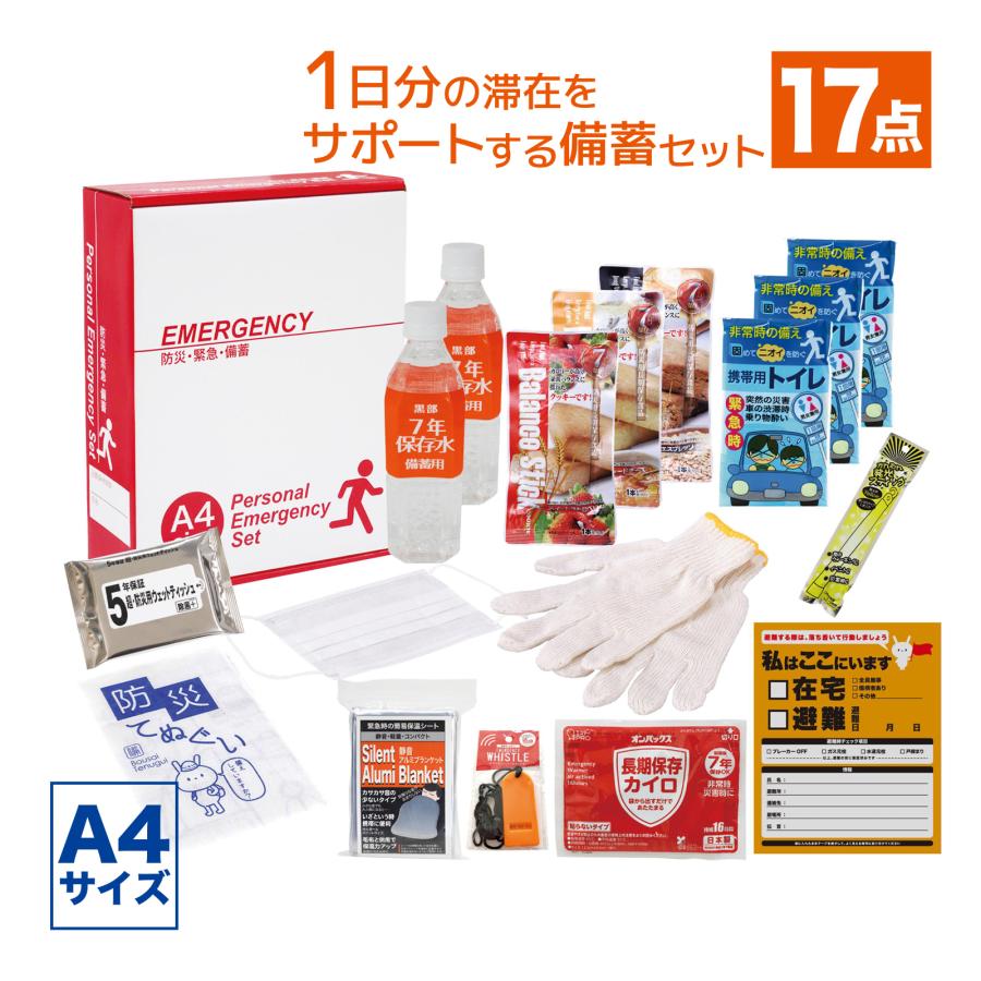 エピオス（日用品） 1DAY災害対策 17点セット EP-40（防災セット