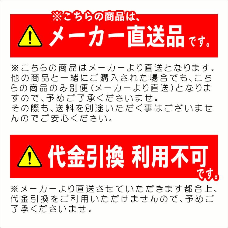 日時指定 消火器格納箱 BF100 100型1本用 モリタ宮田工業 防災グッズ