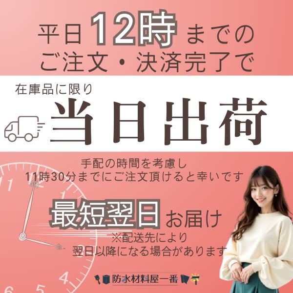 ゴムエースP 6kgセット アサヒボンド工業 エポキシ樹脂系プライマー 