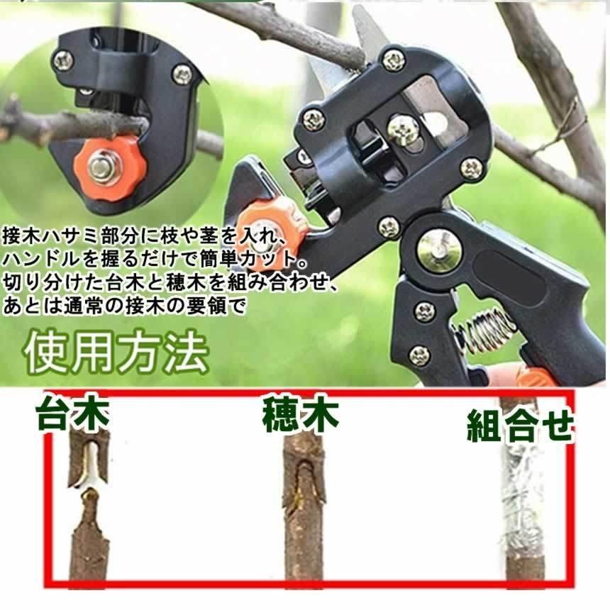 1353円 海外最新 接木ハサミ プロ用接木鋏 1個 Pro 切つぎ 果樹 穂木 台木 花木 バラ 専用替刃3サイズ付 便利 ガーデニング 園芸 正規品 国華園