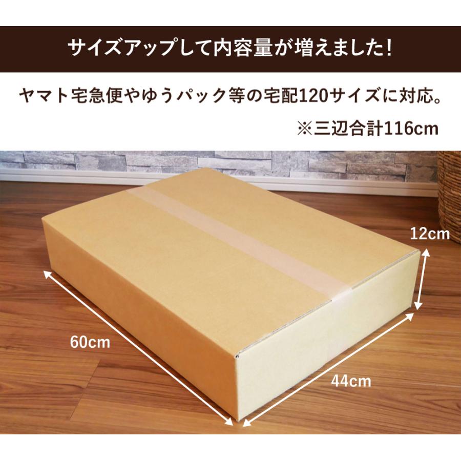 ボックスバンク ダンボール 段ボール 宅配 120 サイズ アパレル用 10枚