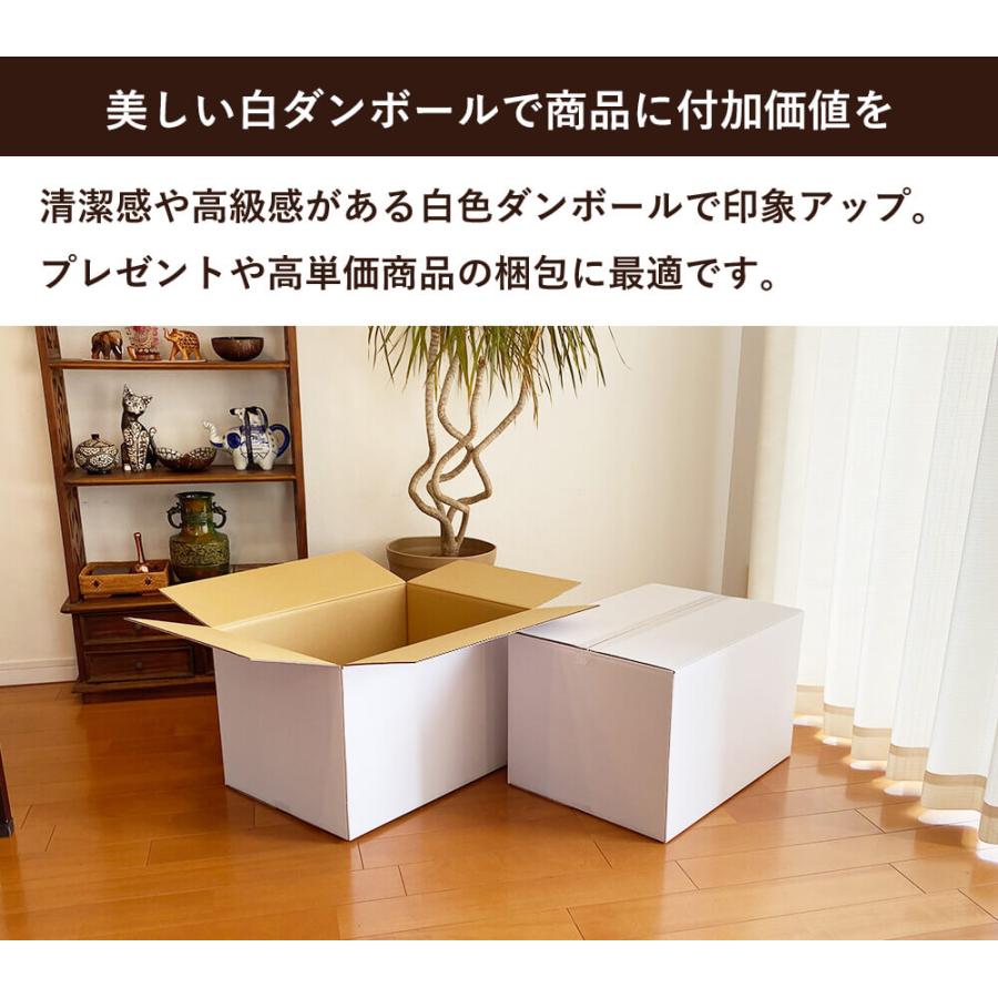 ボックスバンク ダンボール 段ボール 白 140サイズ (53×38×33cm) 5枚