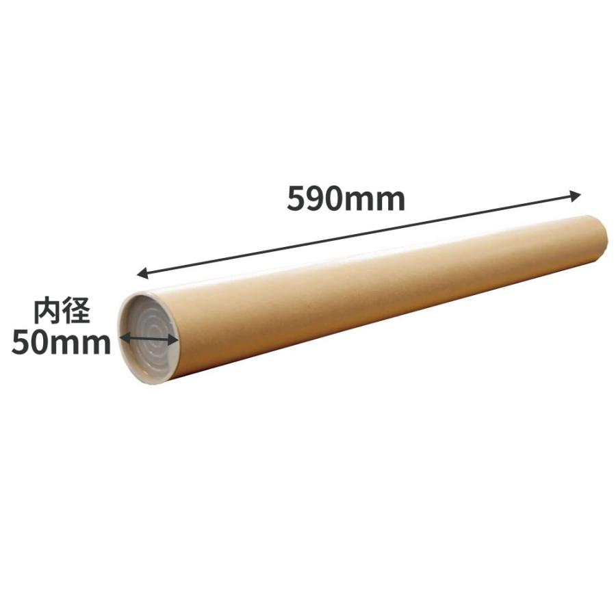 ボックスバンク 紙管 紙筒 丸筒 筒（内径50×590mm）キャップ付 [B2