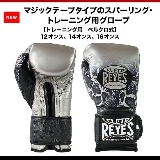 Reyes（レイジェス） トレーニング用ボクシンググローブ 12オンス