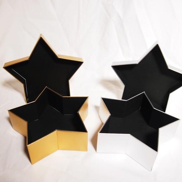 ホシガタ・ギフトボックス |  | 01