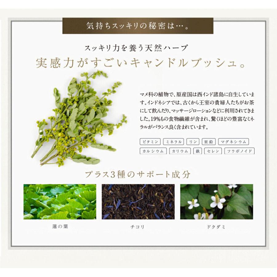 ダイエット茶 黒五葉茶ゴールド 30包 ダイエット 茶 宿便 どっさり