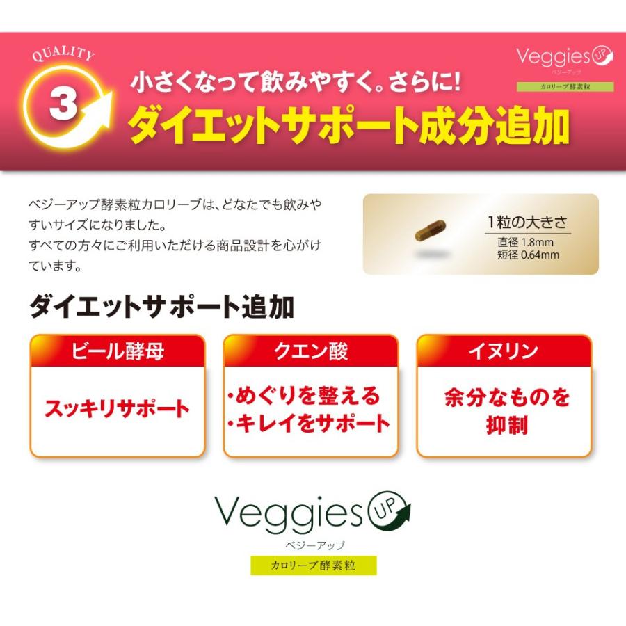 ダイエット 炭 酵素 カロリーカット サプリ ベジーアップ 酵素粒 カロリーブ 93粒 Dr Secret 通販 Yahoo ショッピング