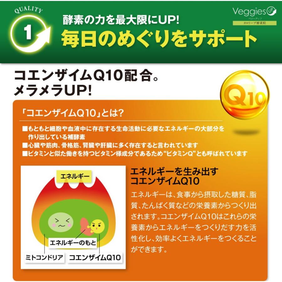 ダイエット 炭 酵素 カロリーカット サプリ ベジーアップ 酵素粒 カロリーブ 93粒｜bp-direct｜10