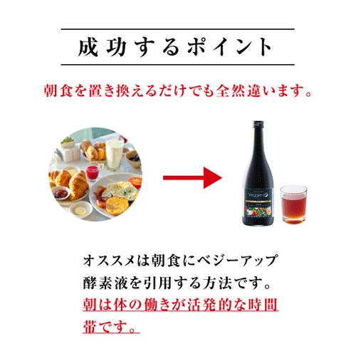 酵素ドリンク ファスティング ダイエット 置き換え ベジーアップ 酵素液 720mL｜bp-direct｜11