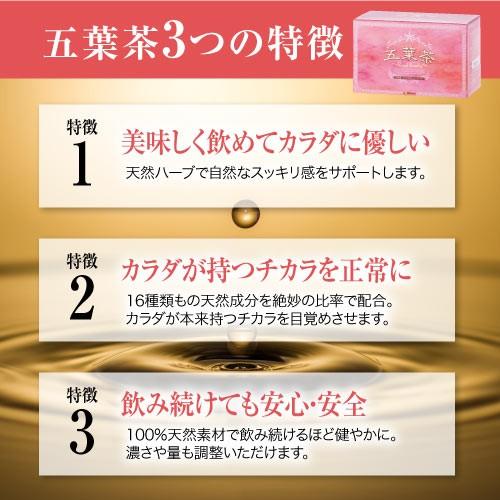 ダイエット茶 ダイエットティー 五葉茶ロイヤルビューティー 30包 2箱セット ダイエット スッキリ 便秘 密は お茶 茶 宿便 どっさり スッキリ ハーブティー |  | 09