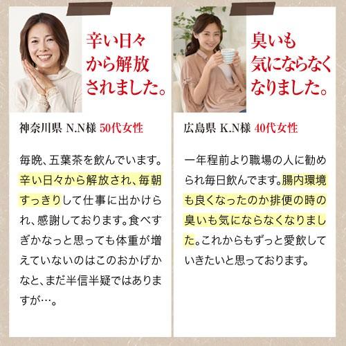 ダイエット茶 ダイエットティー 五葉茶ロイヤルビューティー 30包 3箱セット ダイエット スッキリ 便秘 密は お茶 茶 宿便 どっさり スッキリ ハーブティー |  | 05