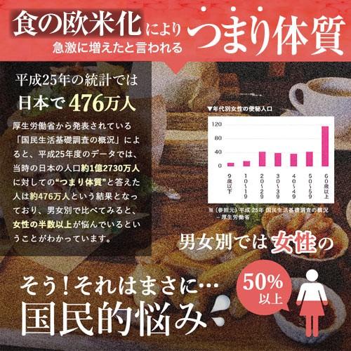 ダイエット茶 ダイエットティー 五葉茶ロイヤルビューティー 30包 5箱セット ダイエット スッキリ 便秘 密は お茶 茶 宿便 どっさり スッキリ ハーブティー |  | 06