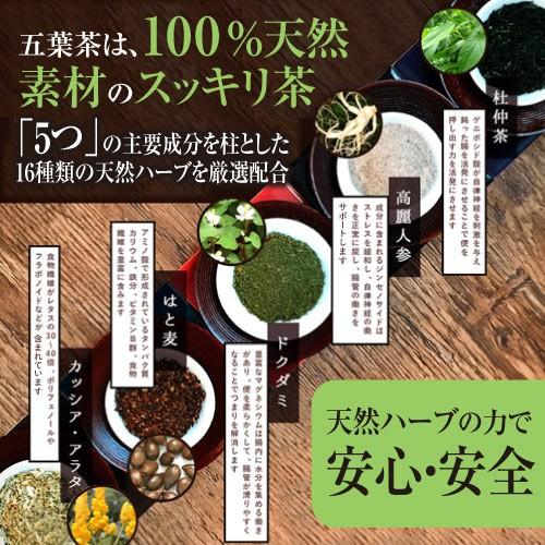 ダイエット茶 ダイエットティー 五葉茶ロイヤルビューティー 30包 5箱セット ダイエット スッキリ 便秘 密は お茶 茶 宿便 どっさり スッキリ ハーブティー |  | 08