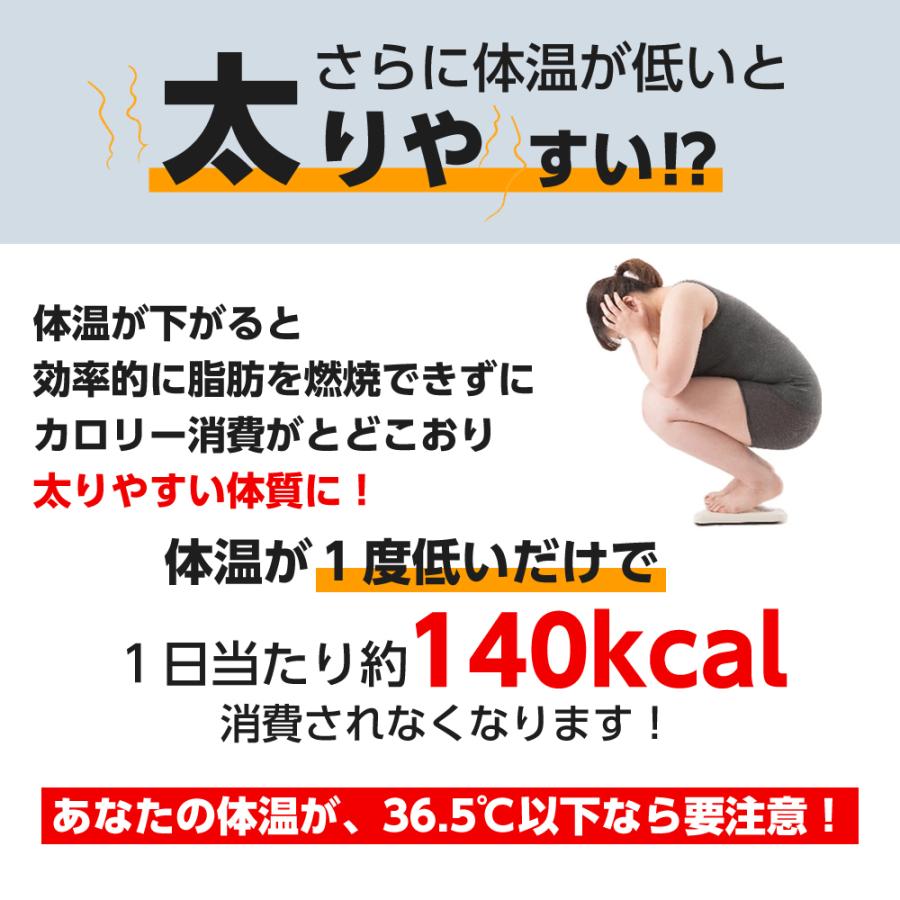 よもぎ蒸し パッド よもぎゅっと お試し 5枚 セット パック ハーブ 自宅 カイロ 温活 妊活 冷え性 冷え対策 グッズ 低温 寒さ 温熱 シート おまたカイロ |  | 07