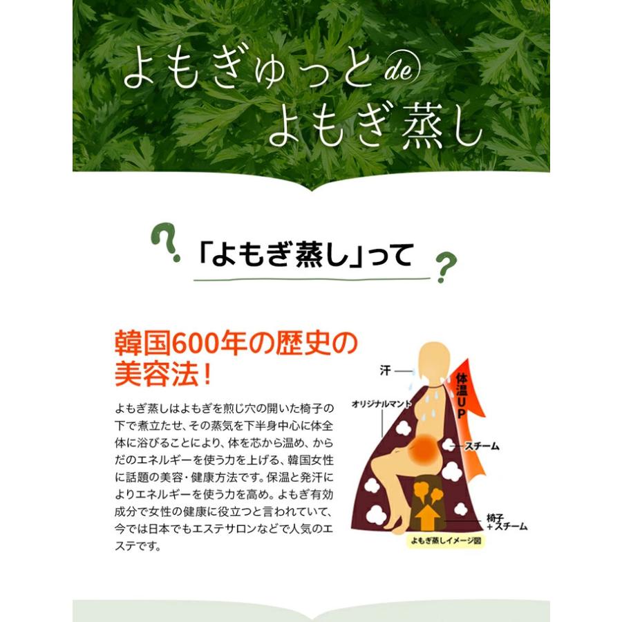 よもぎ蒸し パッド よもぎゅっと 20枚 セット パック ハーブ 自宅