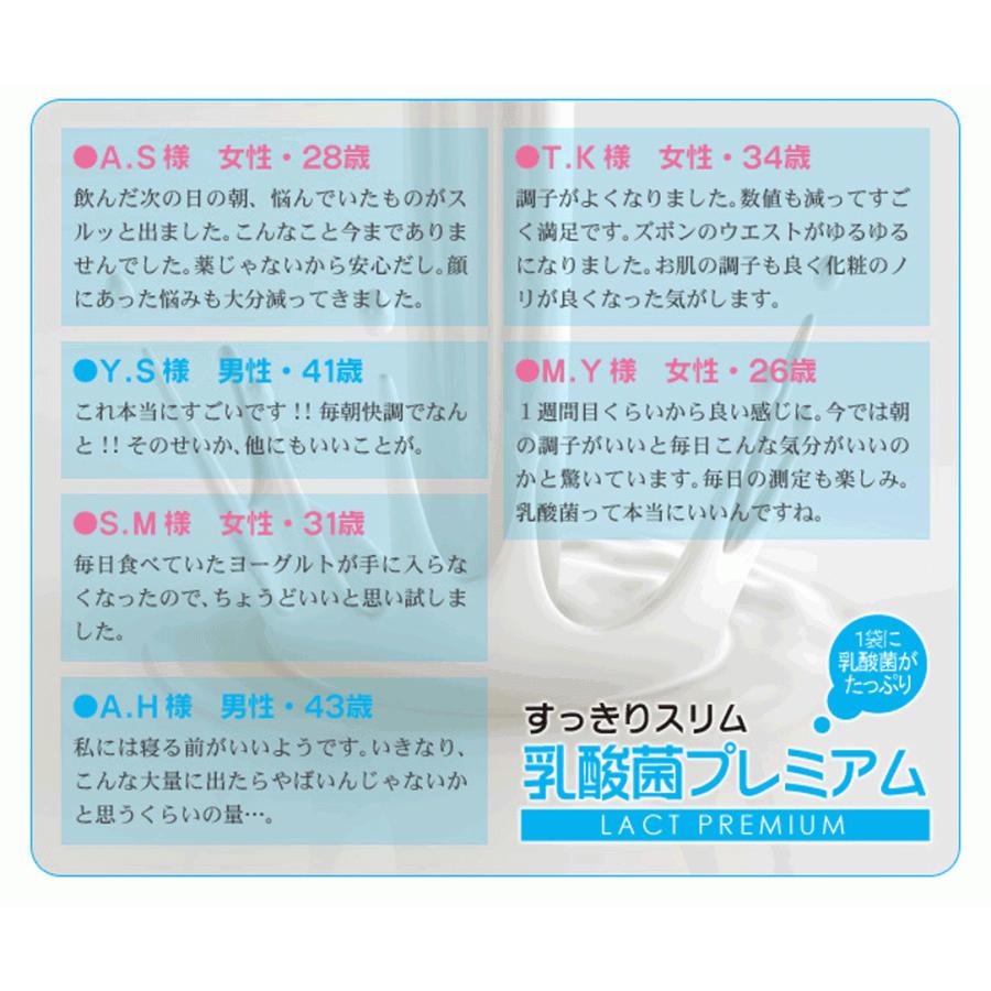 乳酸菌プレミアム 低価格化 30包 高機能乳酸菌 ダイエット 菌活 有胞子性乳酸菌 がセリ菌 ビフィズス菌 Yjk 13 ポイント消化 送料無料 Ec 12