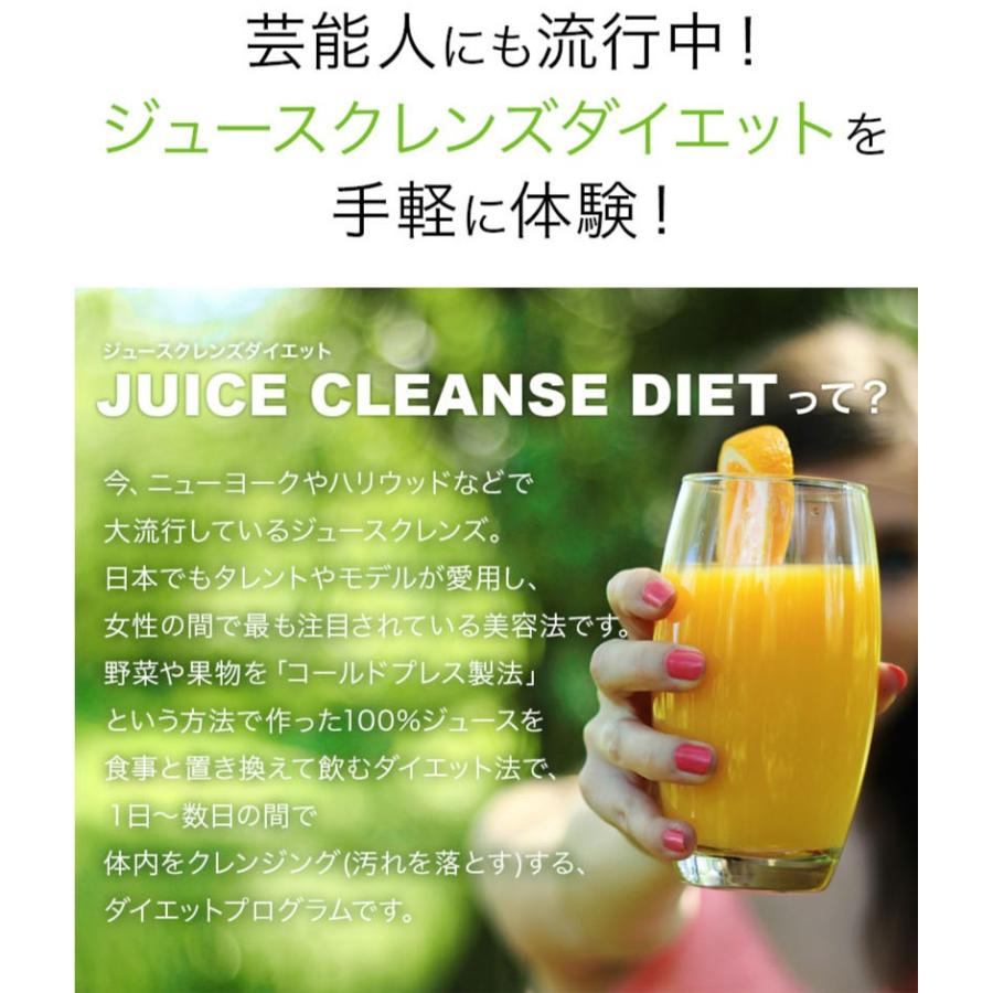 クレンズダイエット 置き換え TOKYO BOTANICAL JUICE CLEANSE DIET 各