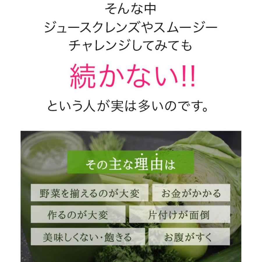 クレンズダイエット 置き換え TOKYO BOTANICAL JUICE CLEANSE DIET 各