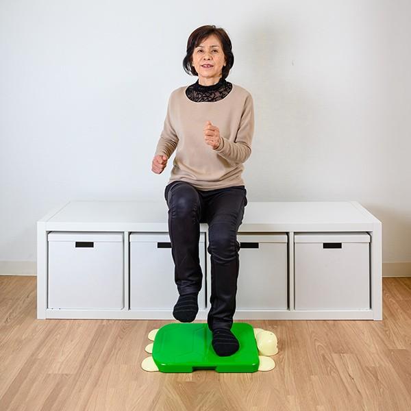 デジレクト いっしょに脳トレ 足踏みかめさん プレゼント おうち時間 自宅遊び ストレス緩和 足踏みカメさん 足踏み亀さん