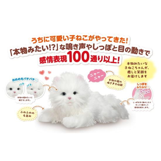 電池10本プレゼント！】あなたのパートナー しっぽふりふり あまえん
