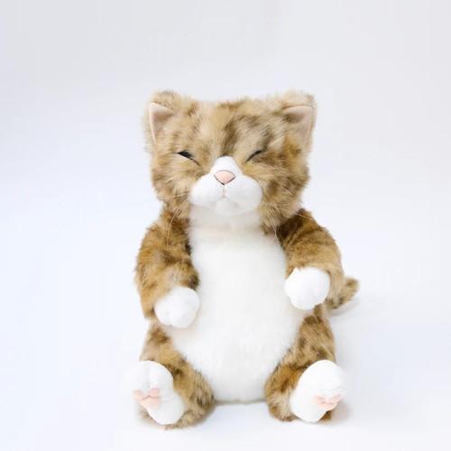 Cuddly カドリー  ちびピン 茶トラ(約26cm 約360g) ソメゴローとゆかいな仲間たち 猫ぬいぐるみ【日本製】 | Cuddly（ぬいぐるみ）