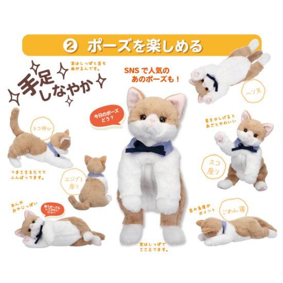 イワヤ なごみケーションにゃんこ ぬくもり コミュニケーショントイ ねこぬいぐるみ 電動ペット コミュニケーショントイ ラパン 掃除のしやすい広々ケージ ノワール〔ペット用品〕 K1296479885(12025円)