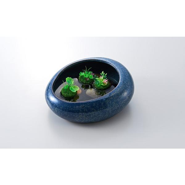 テーブルアクア 浮かべる癒し苔玉 壹(イチ) : E・T・M Yahoo!店 - 通販 - Yahoo!ショッピング