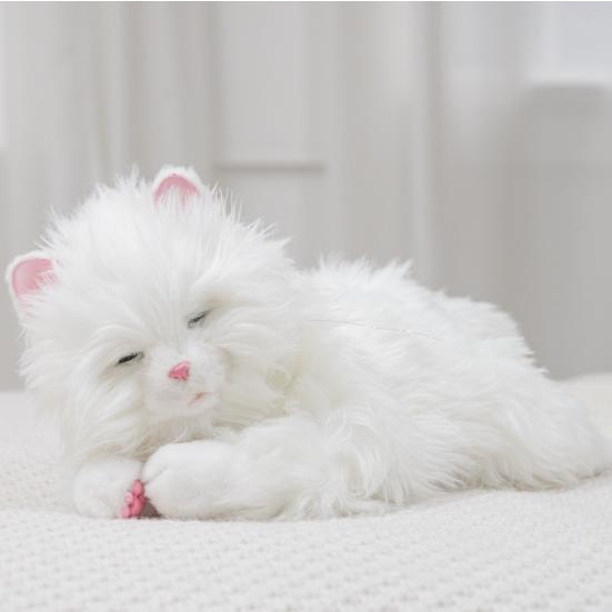 あまえんぼう子ねこちゃん オリジナルお世話セット ベッド、くし あまえんぼう子ねこちゃん オリジナルお世話セット ベッド、くし
