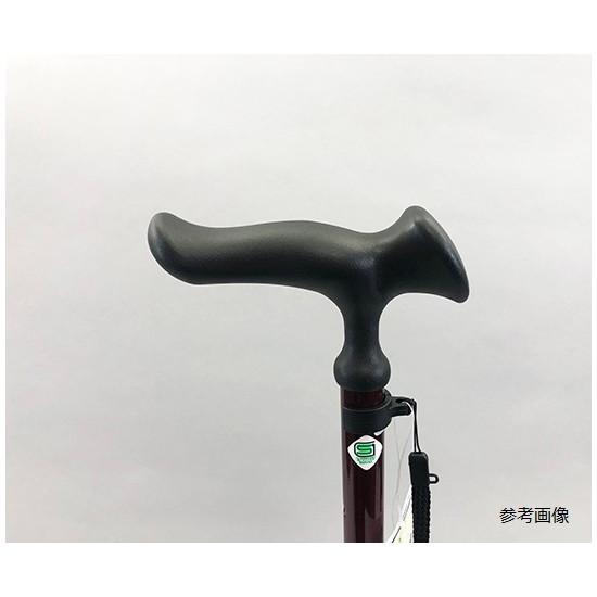 フジホーム 伸縮4ポイントステッキ（かるがもE4点DX） ブラック WB3778