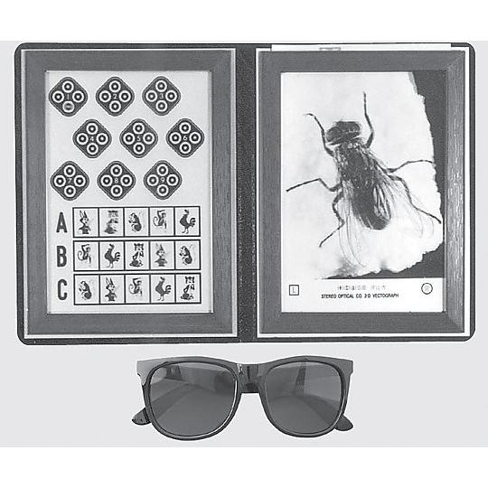 ステレオフライテスト 立体視　検査 ステレオフライテスト 1SO 01100 スクリーニング 立体視差の測定に