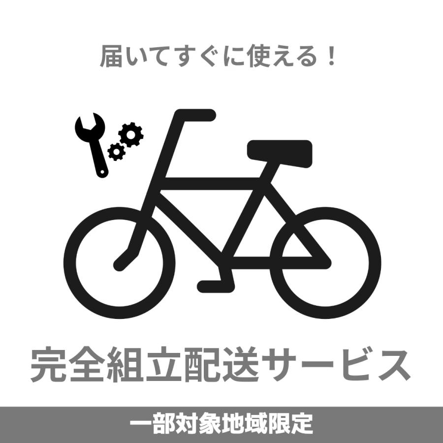 完全組立配送(一部対象地域のみ) 子供用自転車 24インチ ジュニア