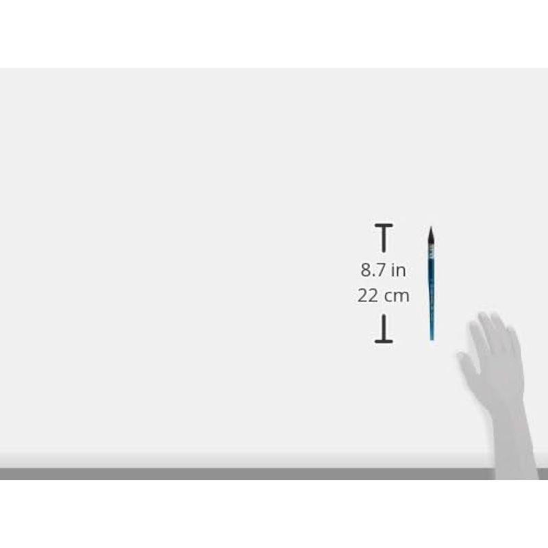 ホルベイン 水彩画筆 ブラックリセーブル SQ 6号 204156｜br-market｜02